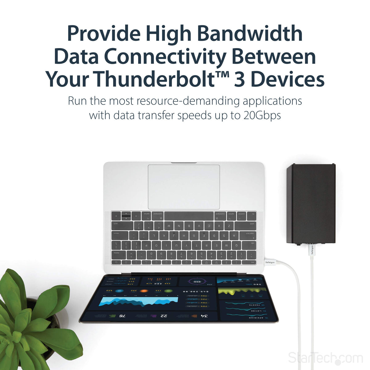 StarTech 6.6ft/2m Passive Thunderbolt 3 Cable 20Gbps, 4K60, 100W, Certified