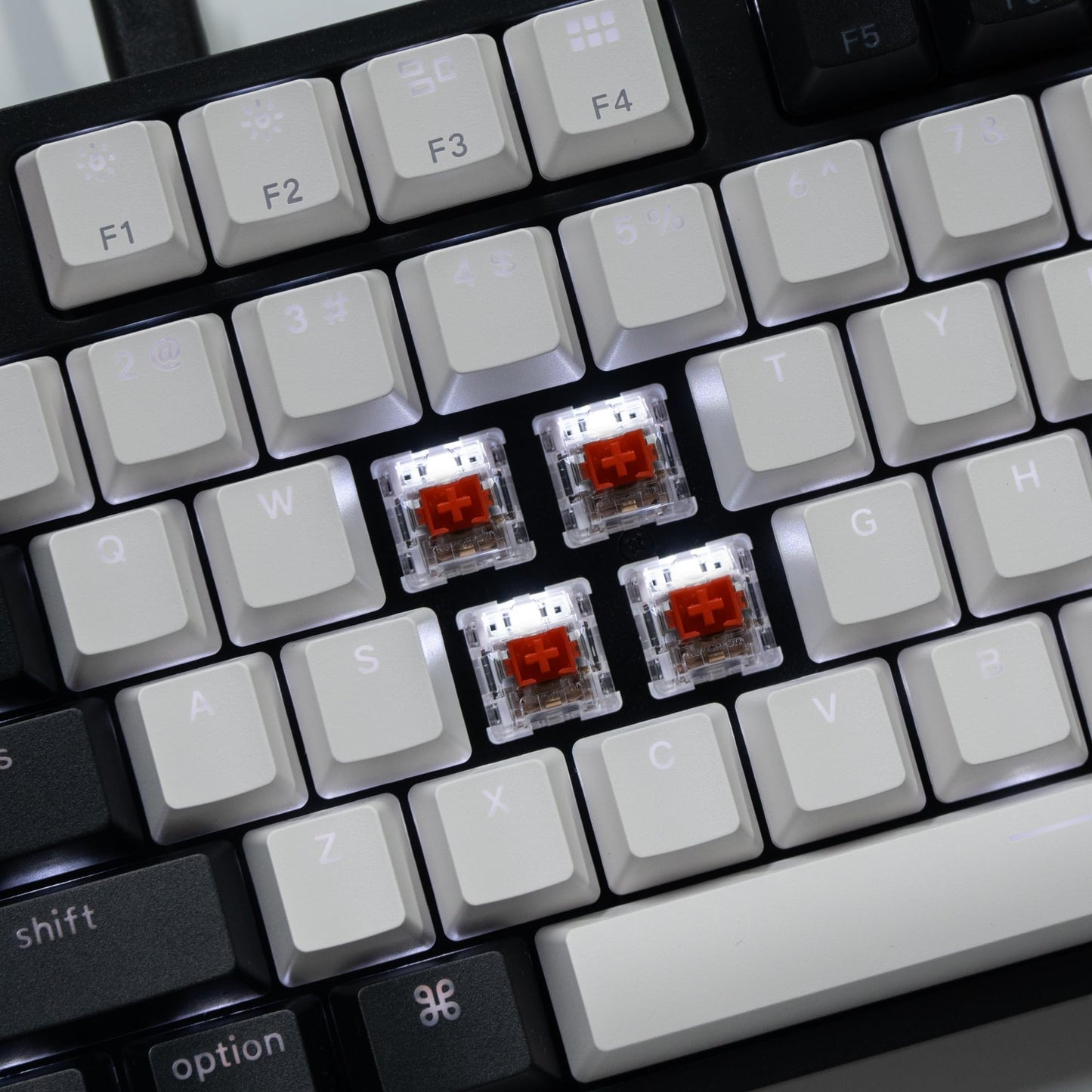Keychron C2 Full Size 104 Keys Wired Mechanical Gaming Keyboard for Mac Layout with Gateron G Pro Red Switch/White LED Backlight/Double Shot ABS