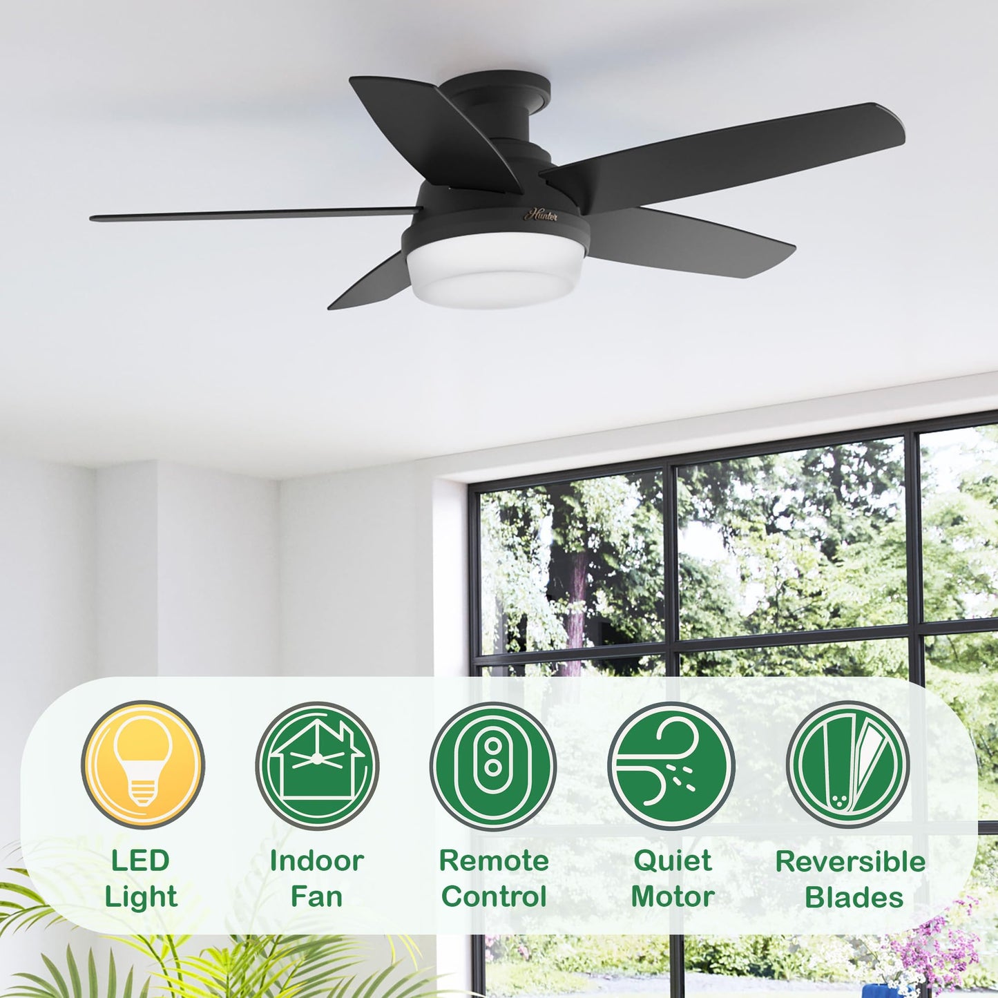Hunter Fan 48 Inch Black Indoor Ceiling Fan with Light, Low Profile Ceiling Fan with Remote for Bedroom, Living Room, Dining Room, Kitchen, Office