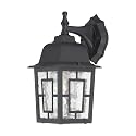 Nuvo Lighting 60/4923 Banyon One Light Wall Lantern/Arm Down 100 Watt A19 Max. Clear Water Glass Textured Black Outdoor Fixture