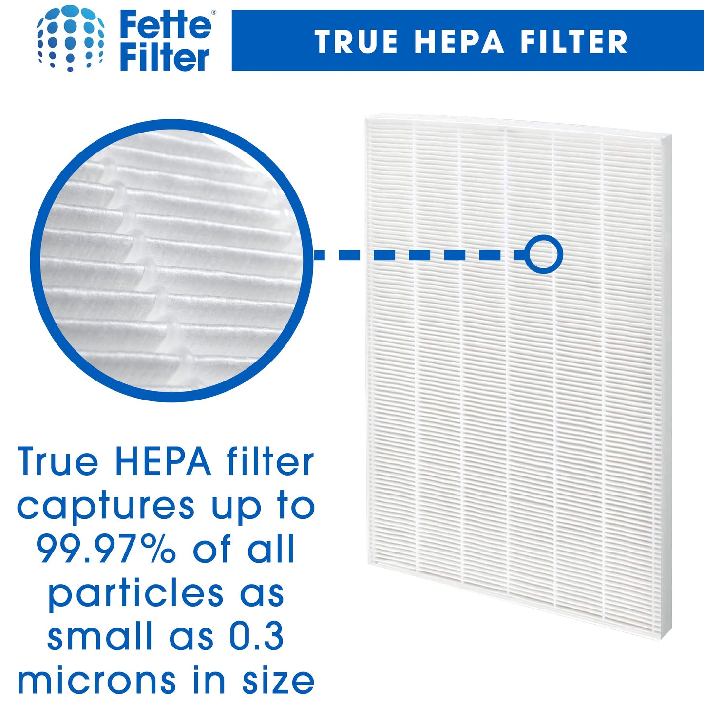 Fette Filter - D480 Premium True Hepa H13 Replacement Filter D4 Compatible with Winix D480 Air Purifier Part Number 1712-0100-02, 1712010002. 2 True