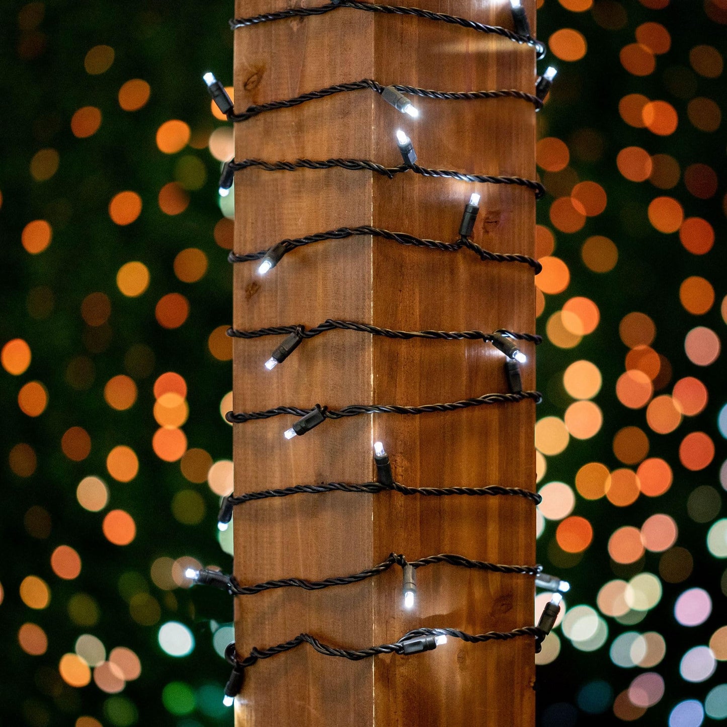 Novelty Lights 34ft Christmas String Lights, 100 Pure White LED Bulbs on Black Wire, 4" Spacing, Connectable Indoor Outdoor Commercial Grade Lighting