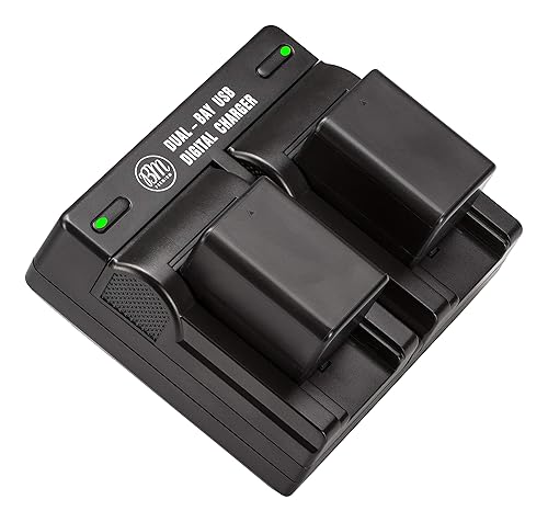 BM Premium 2 VW-VBT190 Batteries and Dual Battery Charger for Panasonic HC-V800K, HC-VX1K, HC-WXF1K, HCV510, V520, V550, V710, HCV720, HC-V750