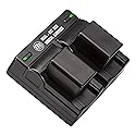BM Premium 2 BP-718 Batteries and Dual Charger for Canon Vixia HFR80 HFR82 HFR800, HFR70, HFR72, HFR700, HFR32, HFR300, HFR40, HFR42, HFR400, HFR50