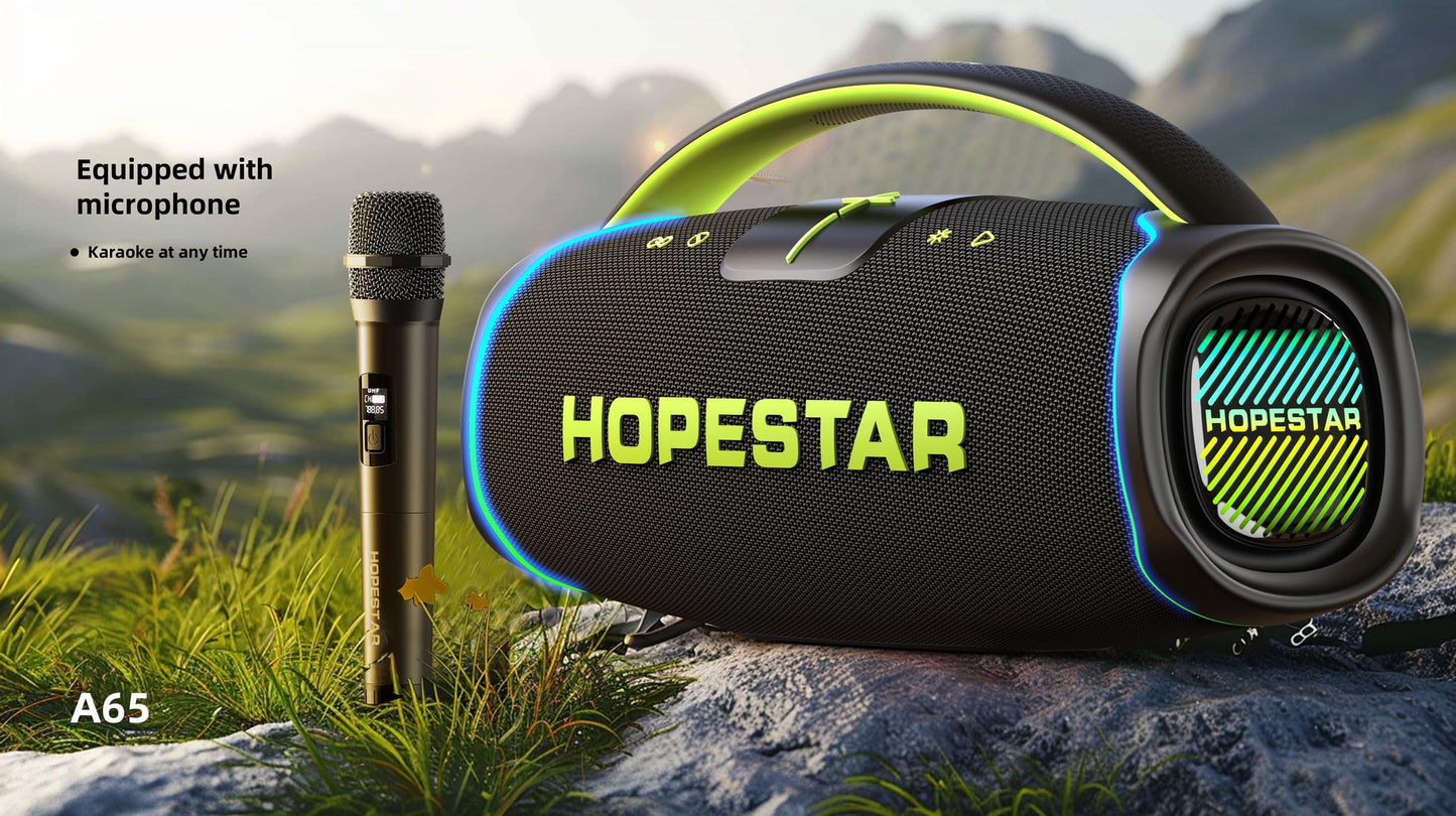 300W Portable Speaker with Handle & Microphone (Gray)