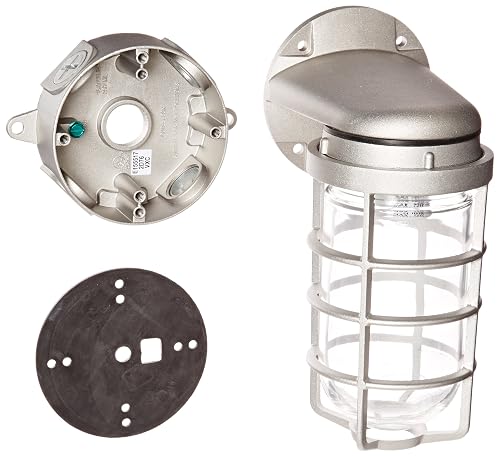 RAB Lighting VXBR100DG-3/4 Vaporproof VXBR 4" Wall Bracket with Glass Globe and Cast Guard, A19 Type, Aluminum, 150W Power, 3/4" Hub, Natural
