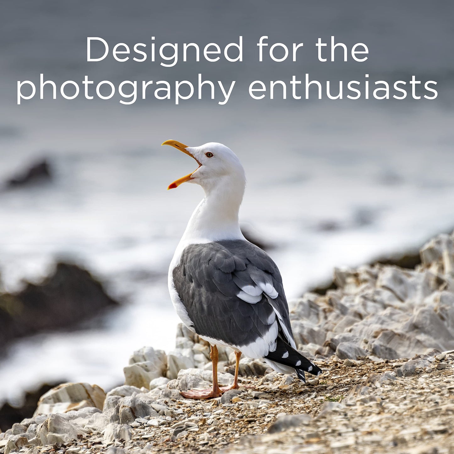 Integral 4GB CompactFlash Card Designed for The Photography Enthusiasts, Durable and Reliable
