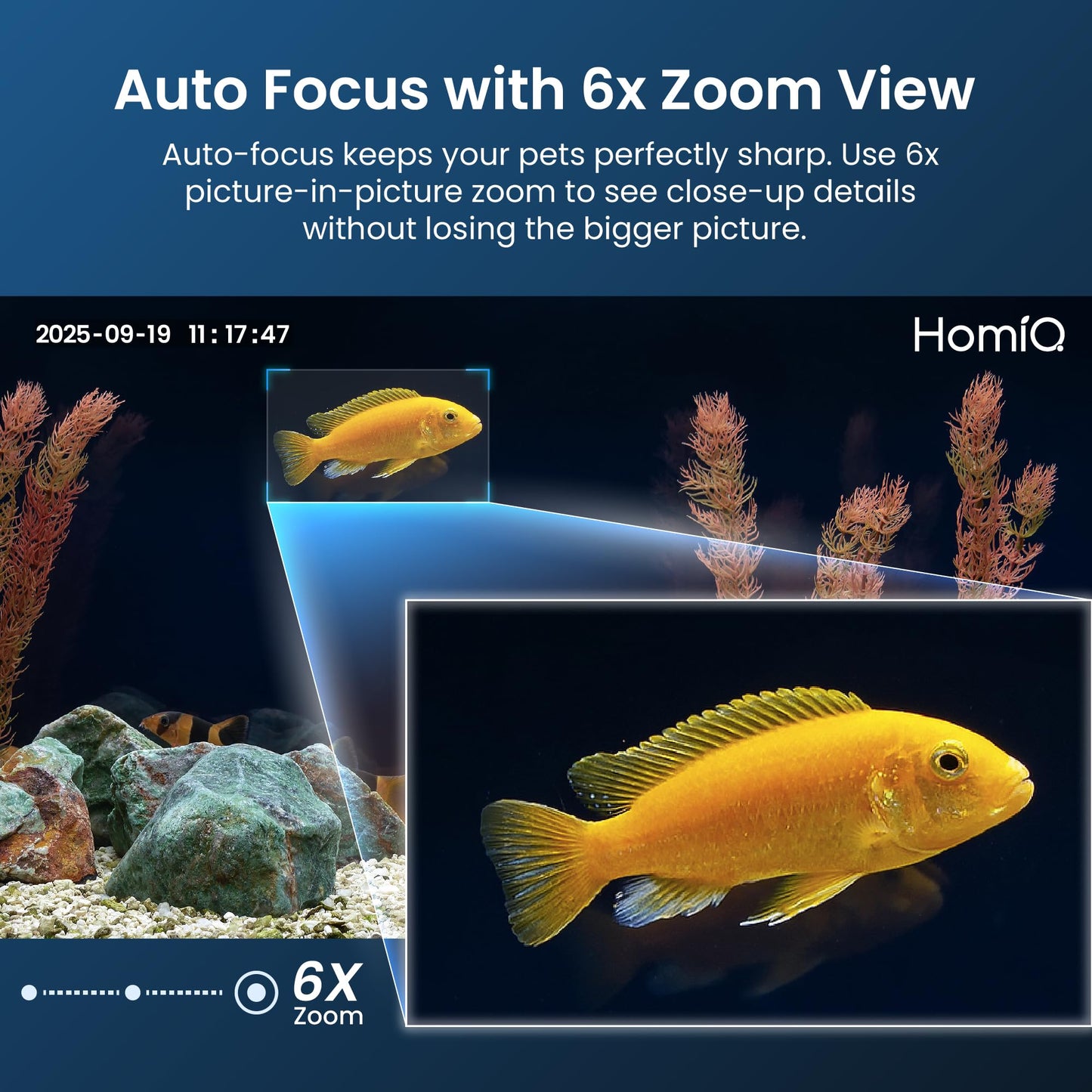 HOMIQ LIFE 3MP 2K Aquarium & Terrarium Pet Camera.Install &Close-Focus Lens for Fish,Lizard, Reptile Pet and Window Bird Feeder,2.4GHz & 5GHz