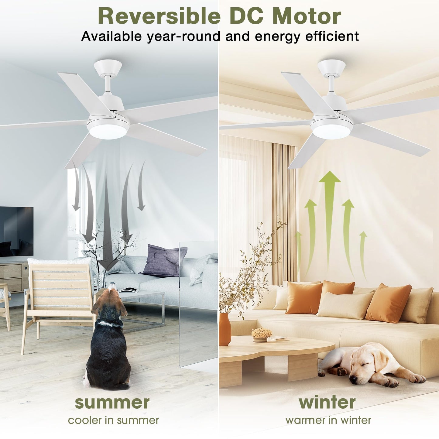 Ceiling Fans with Lights and Remote - 52 Inch Modern Cooling Fan with Noiseless Reversible DC Motor Timer White Ceiling Fan for Bedroom Living Room