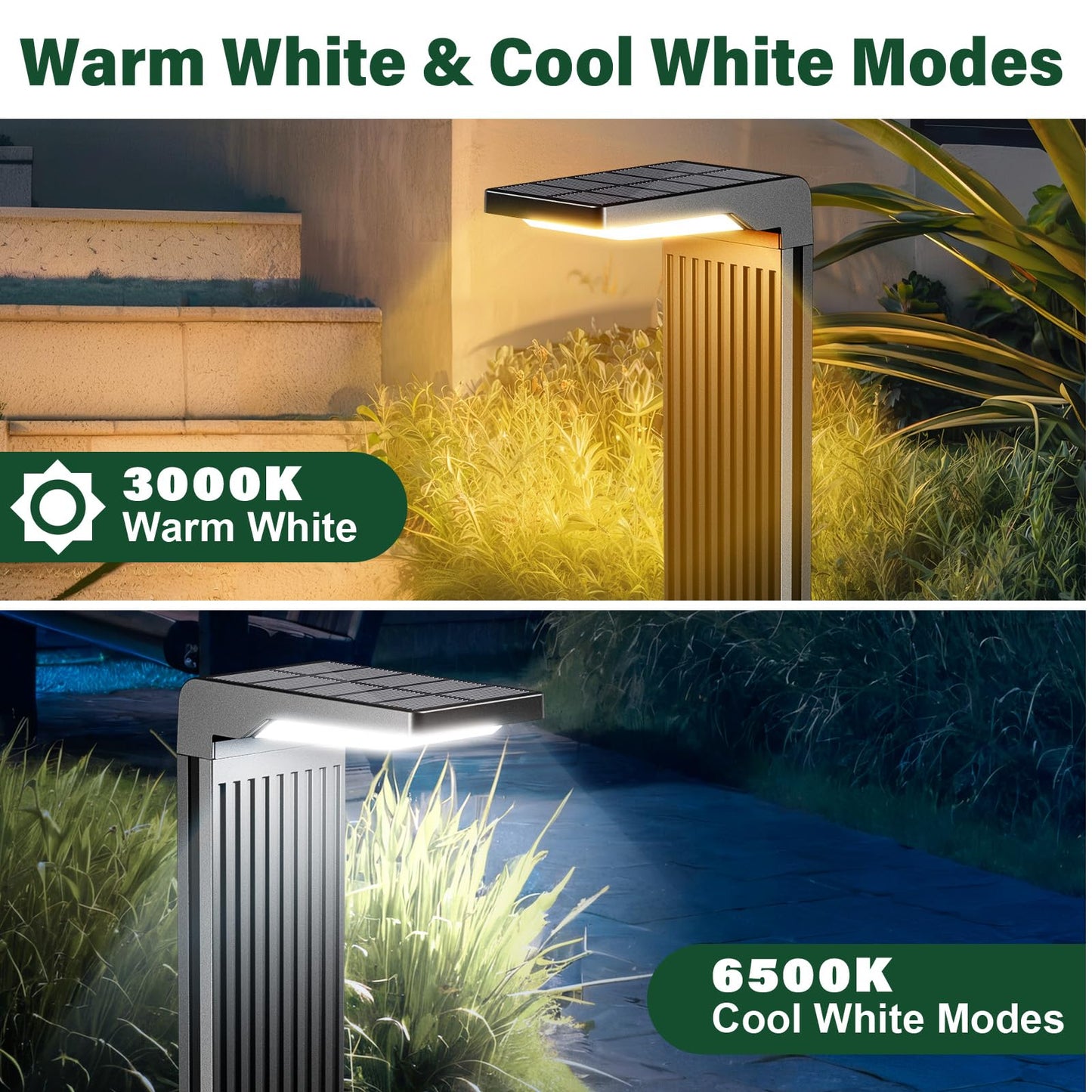 COXSENI Solar Pathway Lights Outdoor 4Pack, Bright 60LED Solar Path Lights Outside Waterproof, Warm & Cool Walkway Lights Solar Powered, Landscape