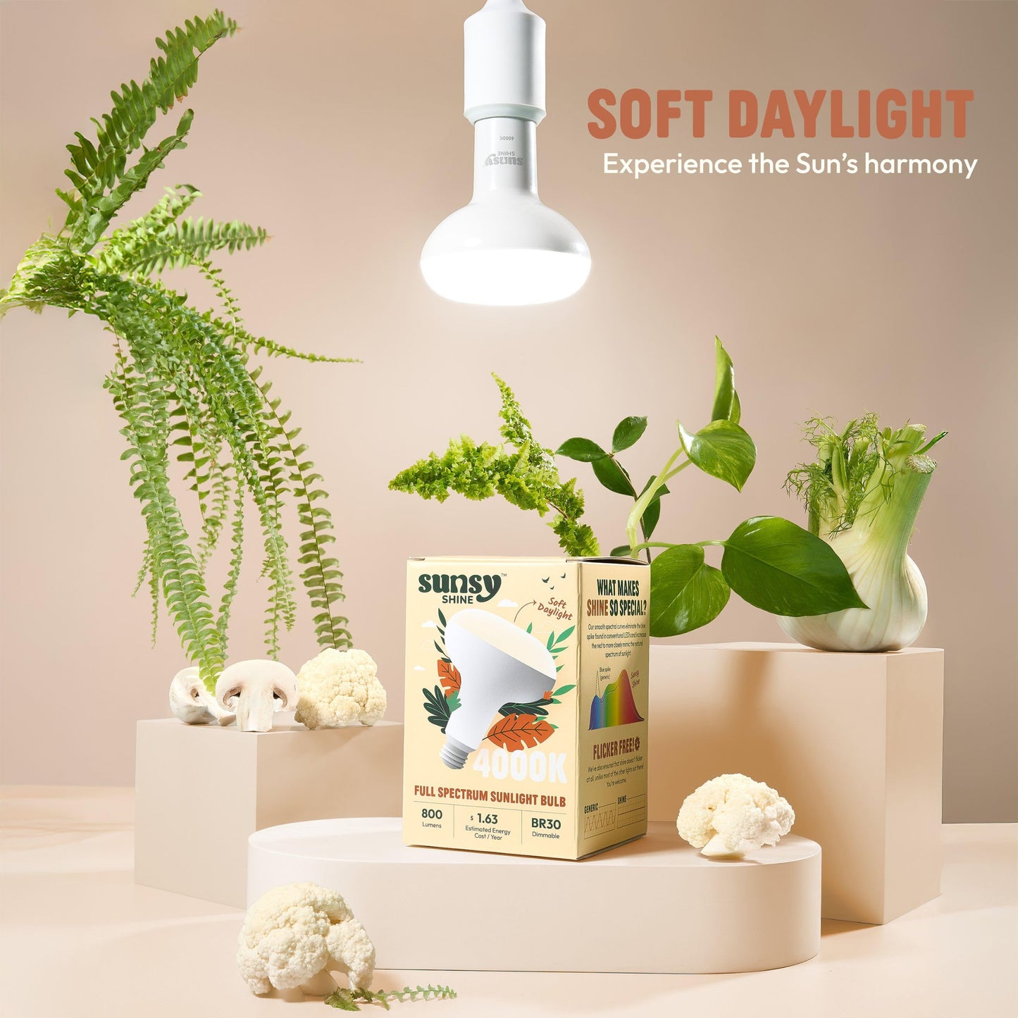 sunsy Shine BR30 Full-Spectrum LED, 4000K Neutral, CRI 97, Flicker-Free