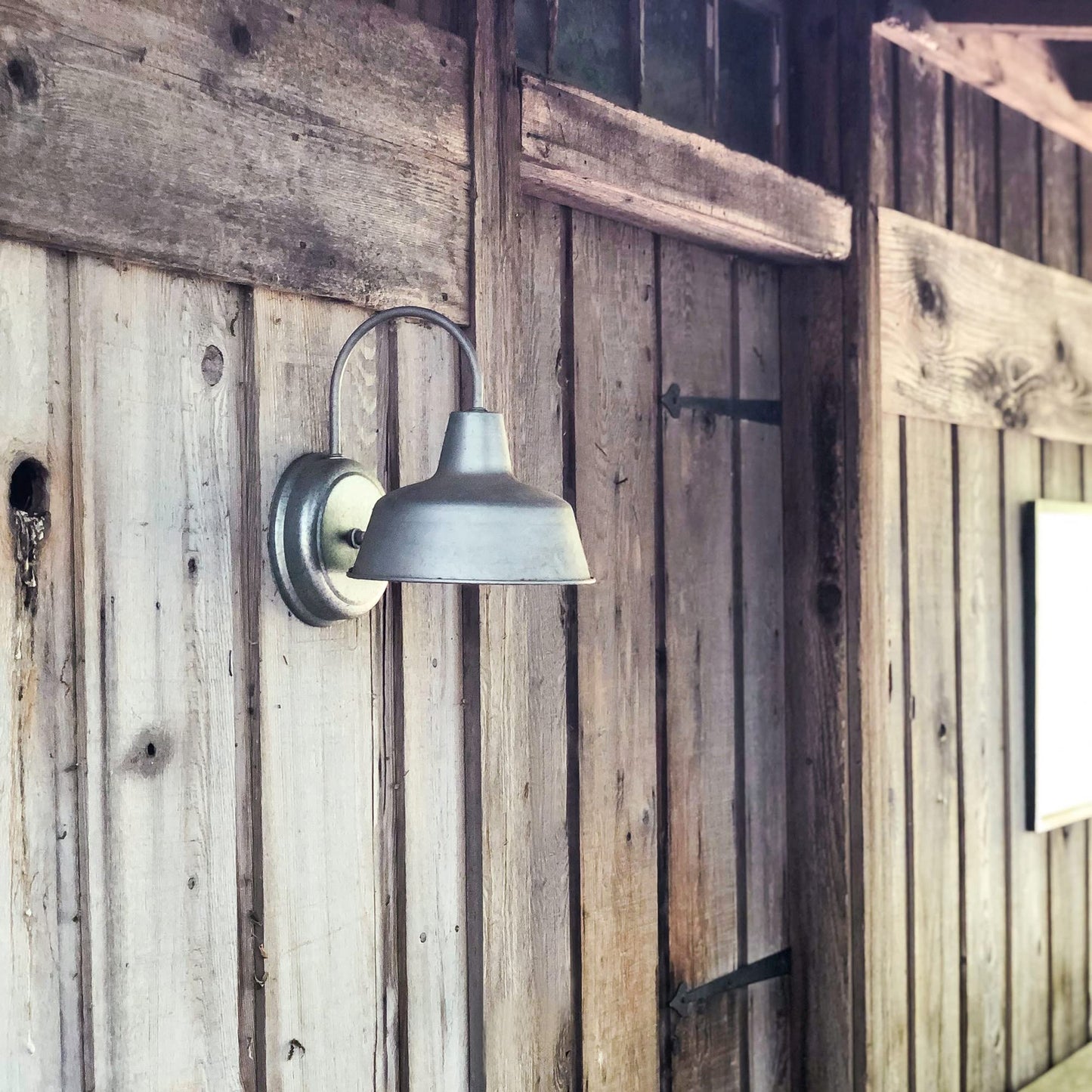 Design House Mason Farmhouse Gooseneck Barn Light, Outdoor Exterior Porch or Patio Wall Light Fixture, Galvanized Gray Paint, 10 Inch Diameter