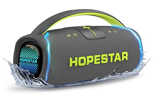 300W Portable Speaker with Handle & Microphone (Gray)