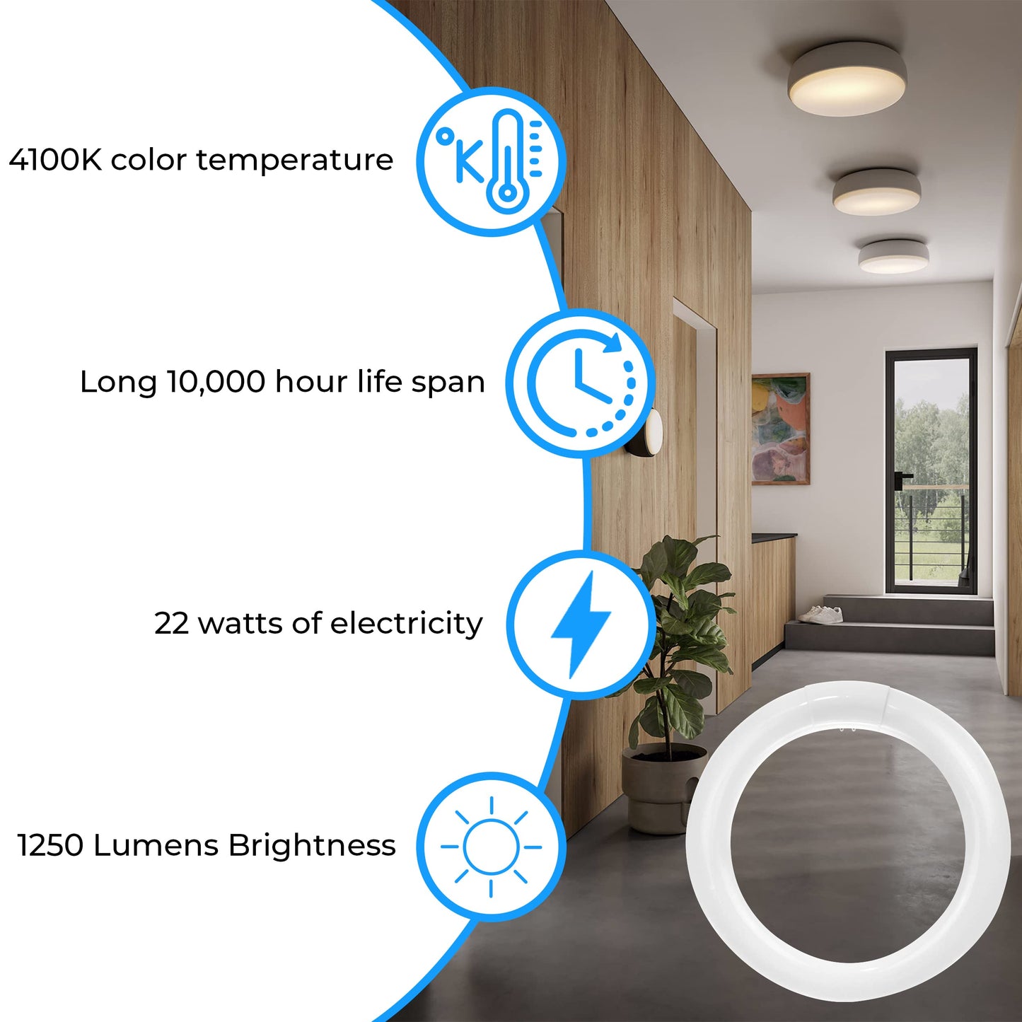 OHBULBS T9 Round Fluorescent Circline Lamp 22 Watts - G10Q 4-Pin Base - Ceiling Light Bulb with 4100K Cool White - 1250 Lumens