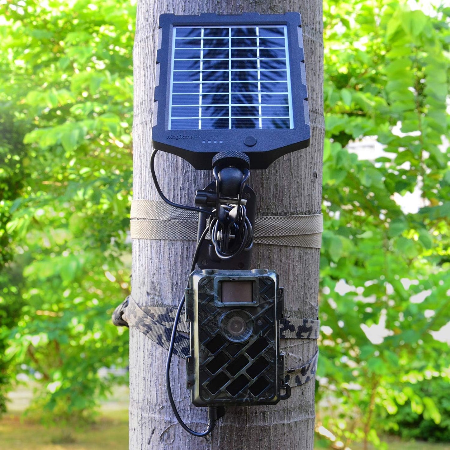 WingHome Trail Cameras Holder, Tree Camera Mount Game Tree Cam Bracket, 2 Pack