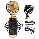 Rockville RCM02 Pro Studio Condenser Microphone, Cardioid Pattern, All-Aluminum Chassis with Steel Basket, Dual Connectivity XLR and 3.5mm, Shock