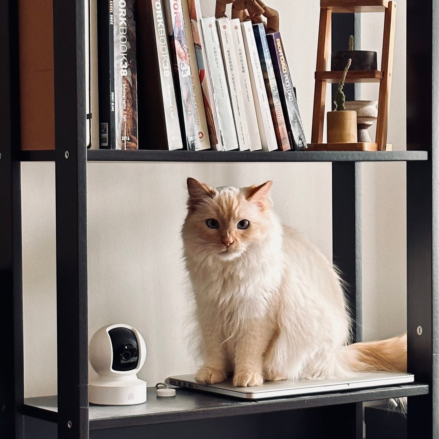 Kasa 1080p Indoor Pan/Tilt Wired Security Camera - Works as a Baby & Pet Monitor, Motion Detection & Tracking, 2-Way Audio, Night Vision