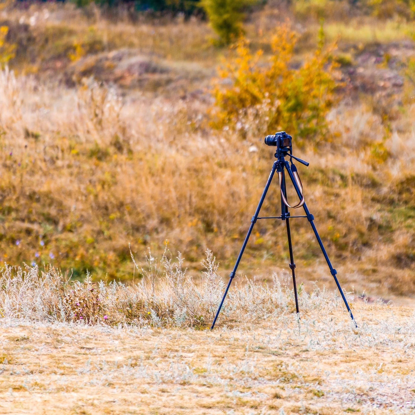 "BARSKA AF12440 Digital Tripod with Carrying Case Extendable to 40"" for Spotting Scopes, Binoculars, Cameras, etc", black