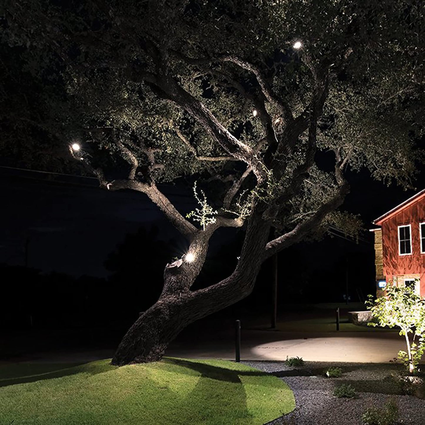 WAC Landscape Lighting, LED 12V Basic Accent Light 6W with Adjustable Beam Angle 3000K in Bronze