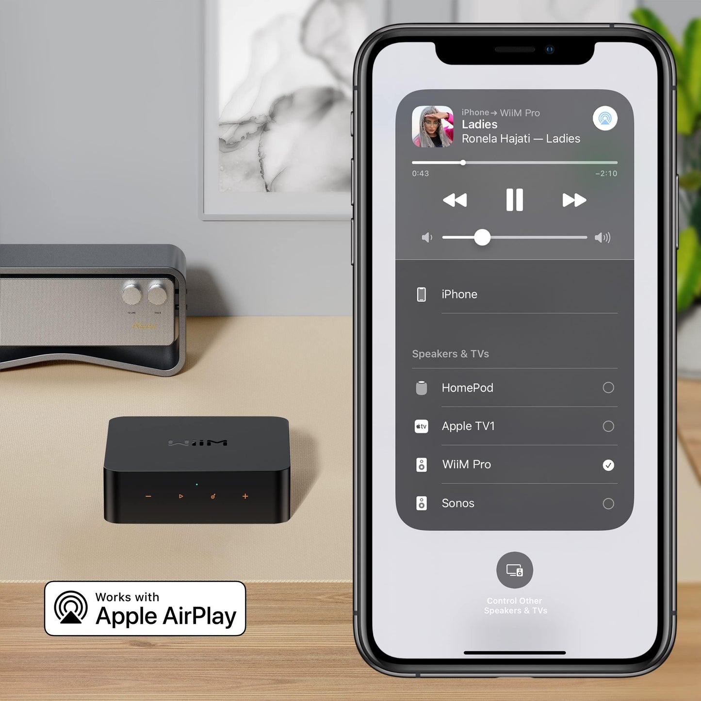 WiiM Pro AirPlay 2 Receiver, Google Cast Audio, WiFi Multiroom Streamer, Compatible with Alexa, Siri and Google Assistant, Stream Hi-Res Audio from