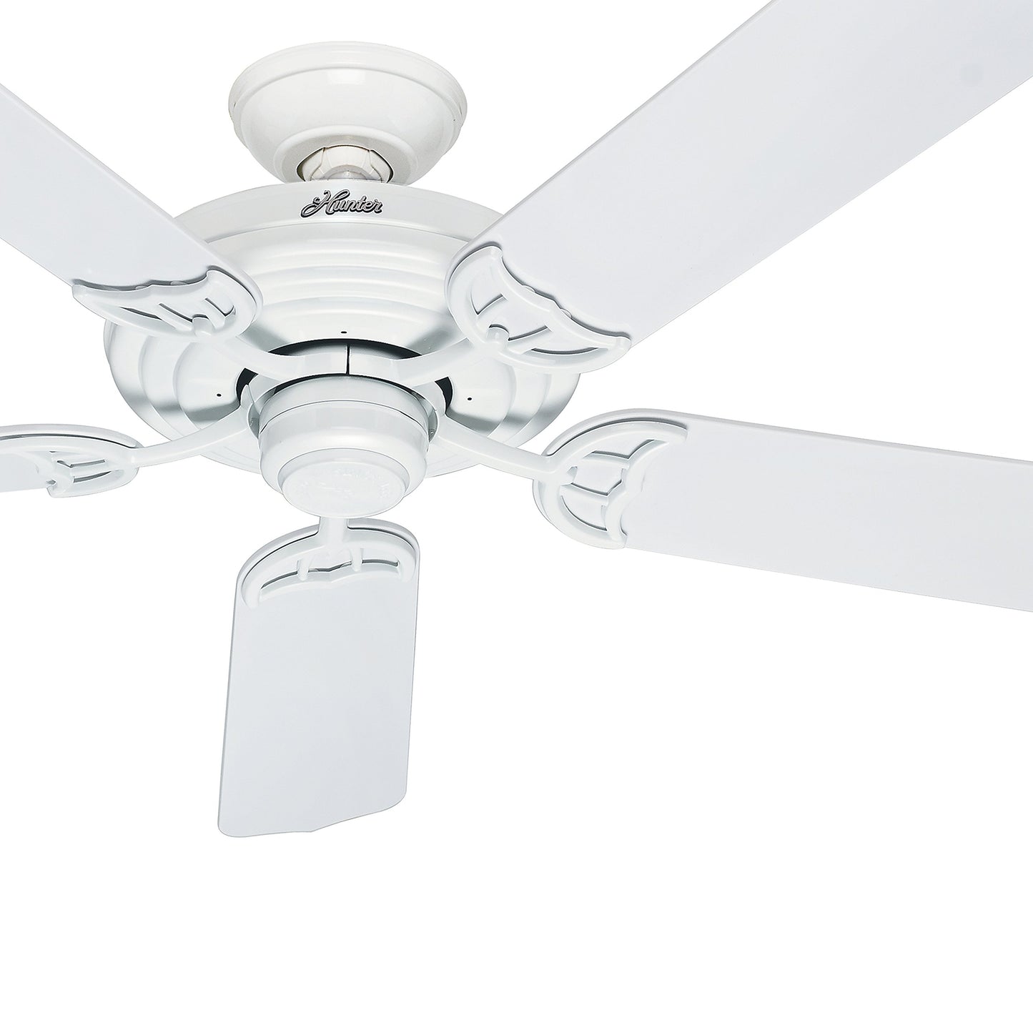 Hunter Fan 52 inch Outdoor Ceiling Fan in White with Stainless Steel Hardware to Resist Rust, 5 Blade (Renewed)