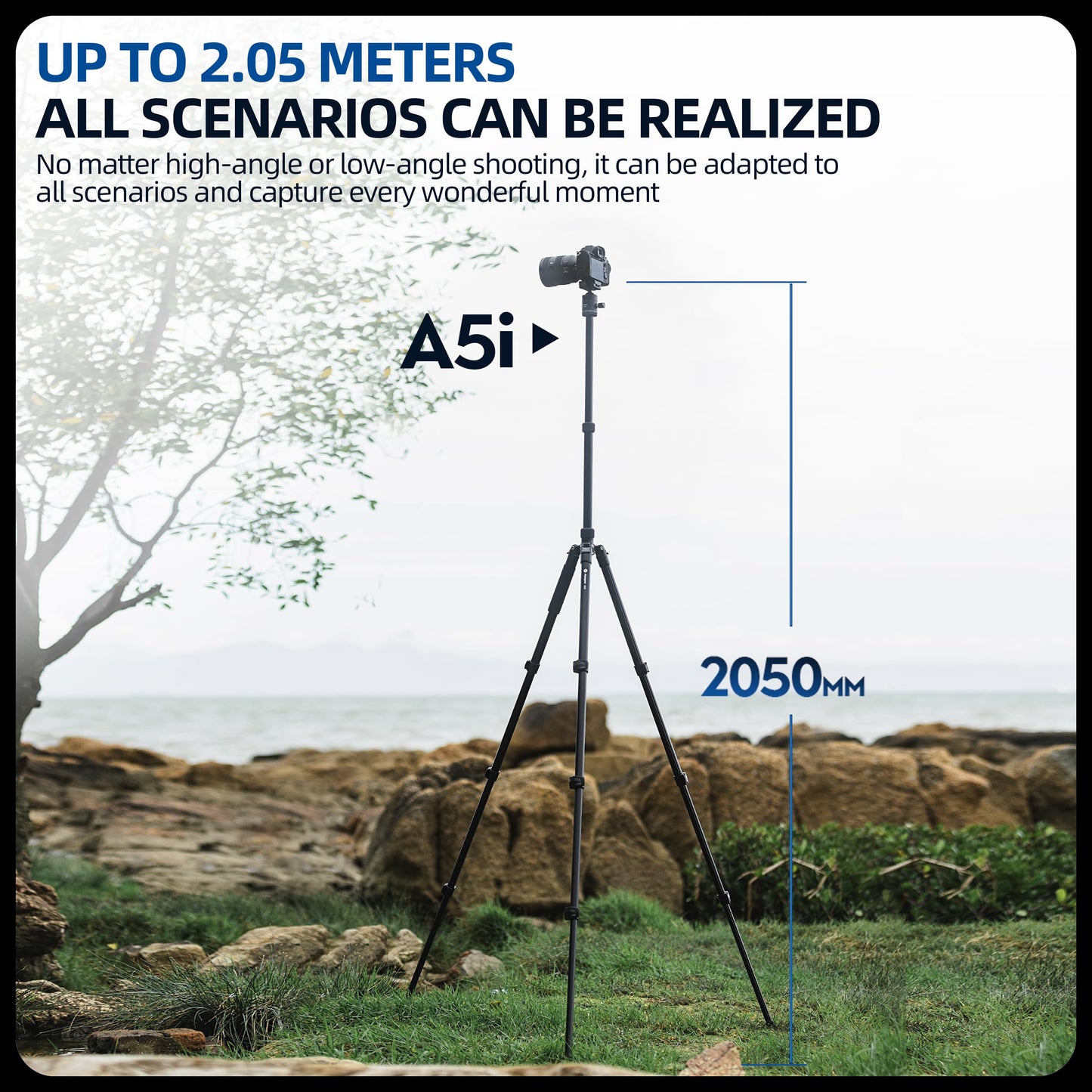 Fotopro Camera Tripod, Foldable Aluminum Tripod/Monopod, 360°Ball Head Detachable with Quick Release Plate, Lightweight Tripod for Camera, Phone, A4I