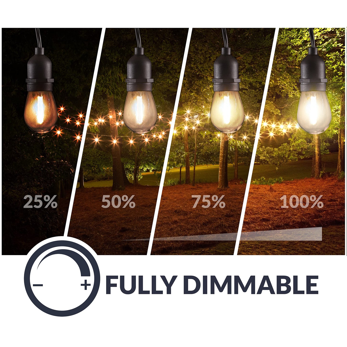 Newhouse Lighting LED String Lights with Weatherproof Technology, Dimmable with Wireless Remote Control, 48ft and 16 (15+1 Free) LED Light Bulbs