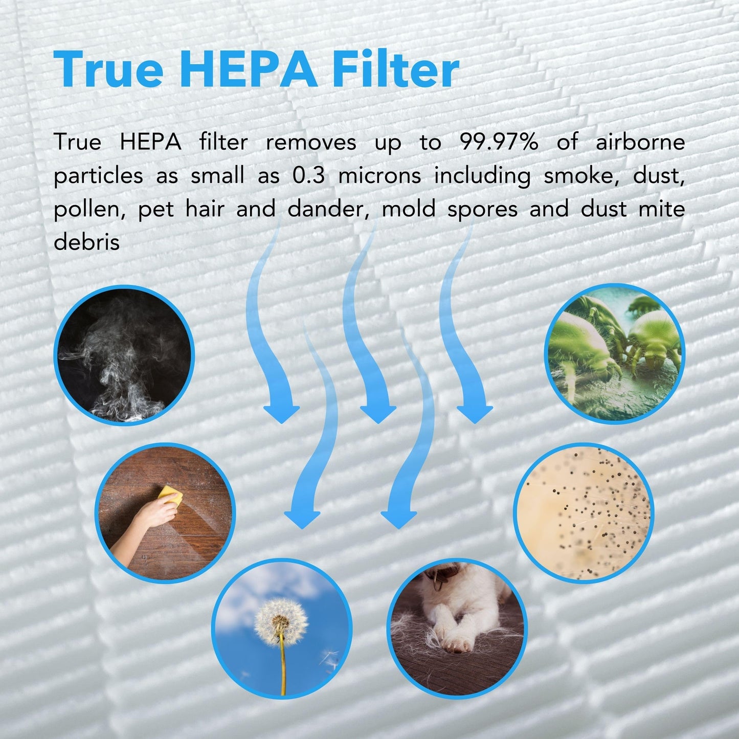 HP450UV True HEPA Air Purifier with UVC Light Technology in White Rose Gold
