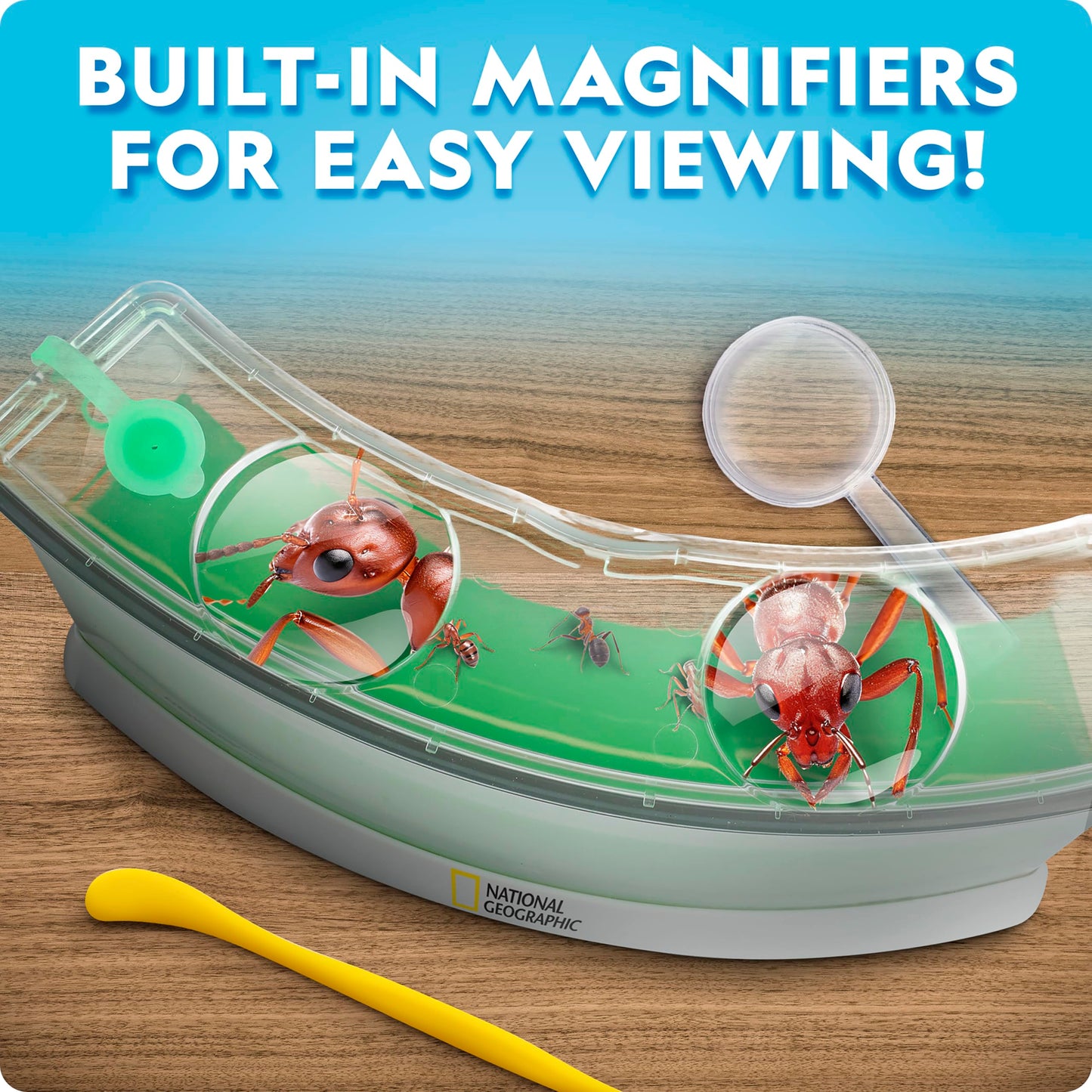 National Geographic Ant Habitat Kit – Light-Up Terrarium with Magnifiers, Tunnel Starter & Ant Activities, Educational Ant Colony Kit for Kids