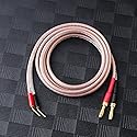 JORZOR 2 Pack Pin Type Plug to Banana Male Plug Speaker Cable?Audiophile 14 AWG OFC Speaker Wire (5M(16.4FT), 2 pin to 2 Banana Plug)