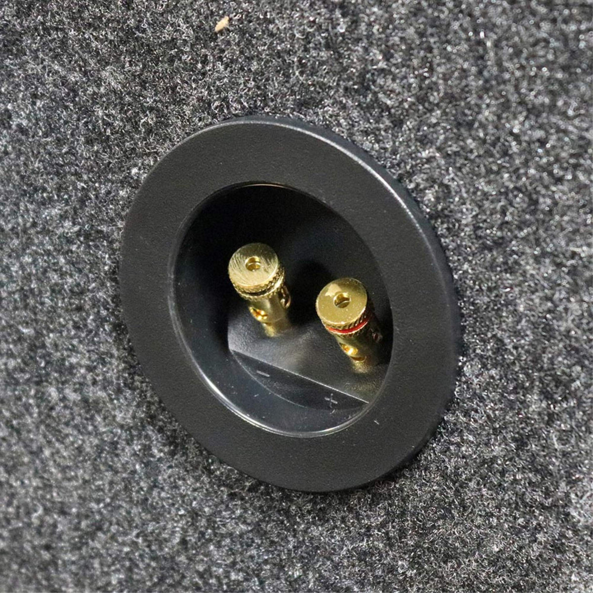 QPOWER 15 in. Empty WOOFER Box Angled Style