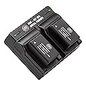 BM Premium 2 Pack of DMW-BMB9 Batteries and Dual Bay Battery Charger for Panasonic Lumix DC-FZ80, DC-FZ80D, DMC-FZ40K, DMC-FZ45K, DMC-FZ47K