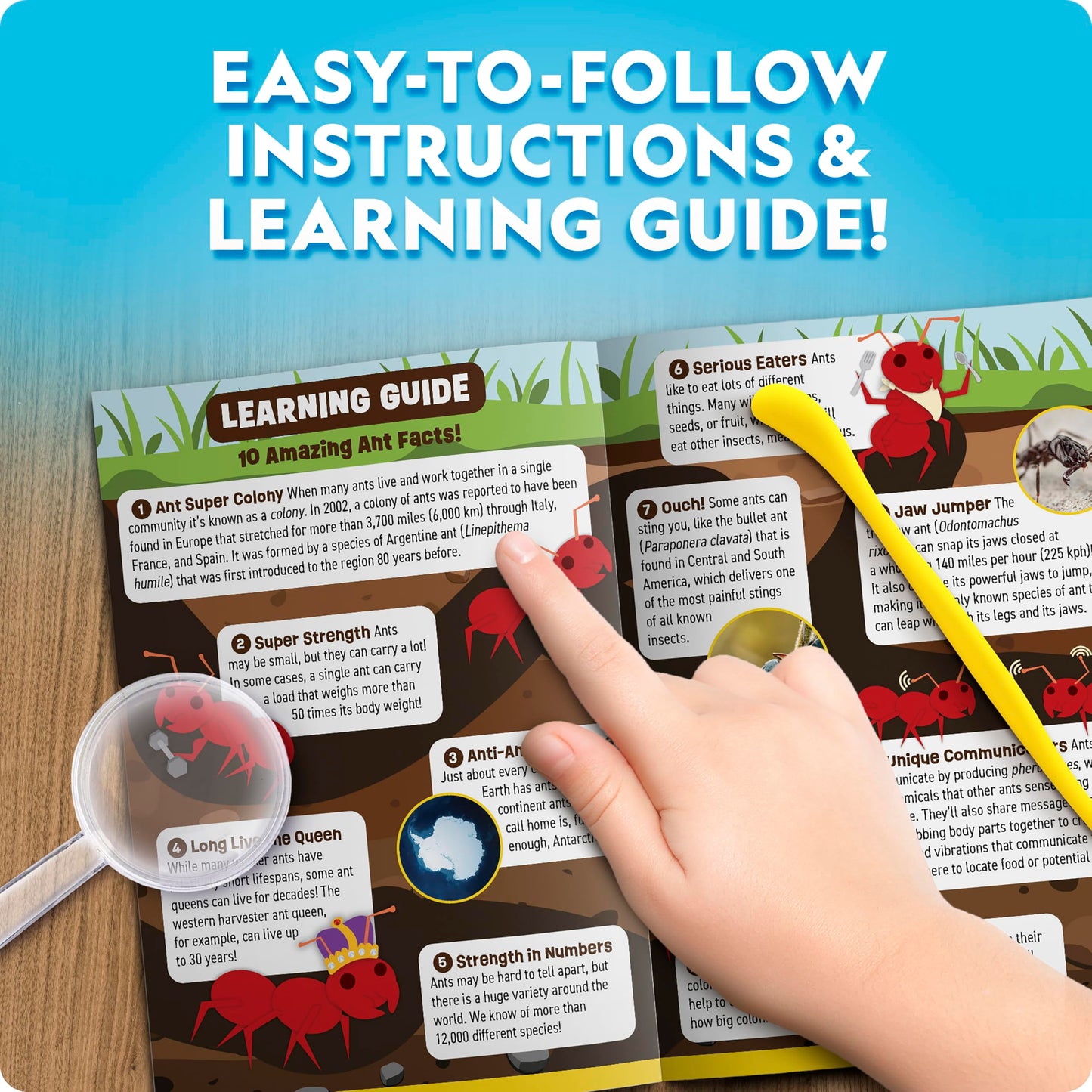 National Geographic Ant Habitat Kit – Light-Up Terrarium with Magnifiers, Tunnel Starter & Ant Activities, Educational Ant Colony Kit for Kids