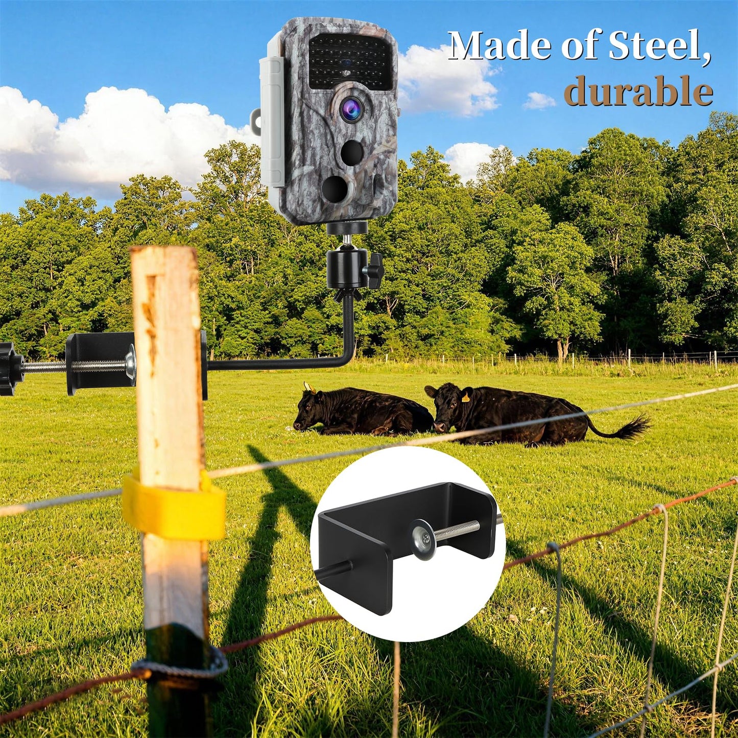 Aiuieaa Clamp Mount with Mini Ball Head Mount, 1/4 Screw Mount Adapter for Tree, Compatible with Most Cameras for Wildlife Monitoring and Tree
