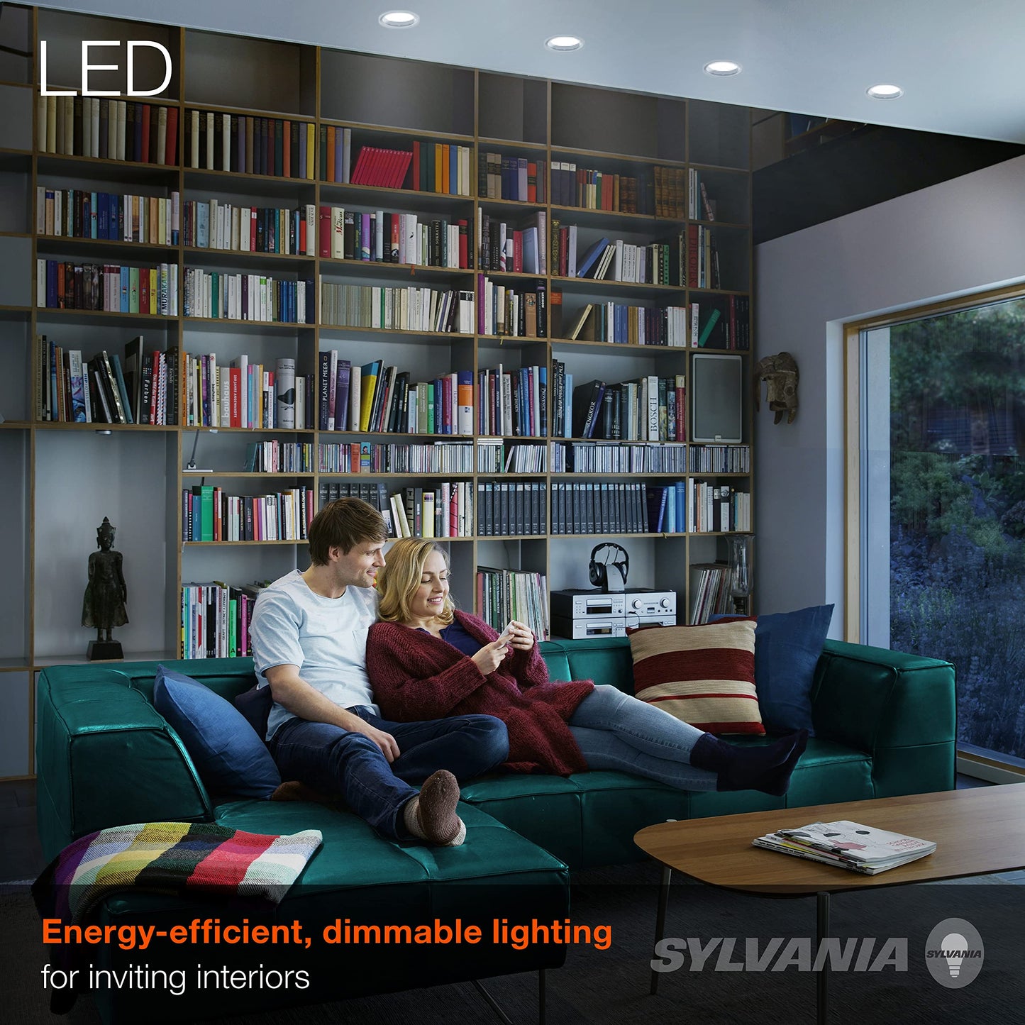 Sylvania LED Flood PAR38 Light Bulb, 90W Equivalent, Efficient 13W, 10 Year, 1175 Lumens, Medium Base, Non-Dimmable, 5000K, Daylight - 2 Pack (79736)