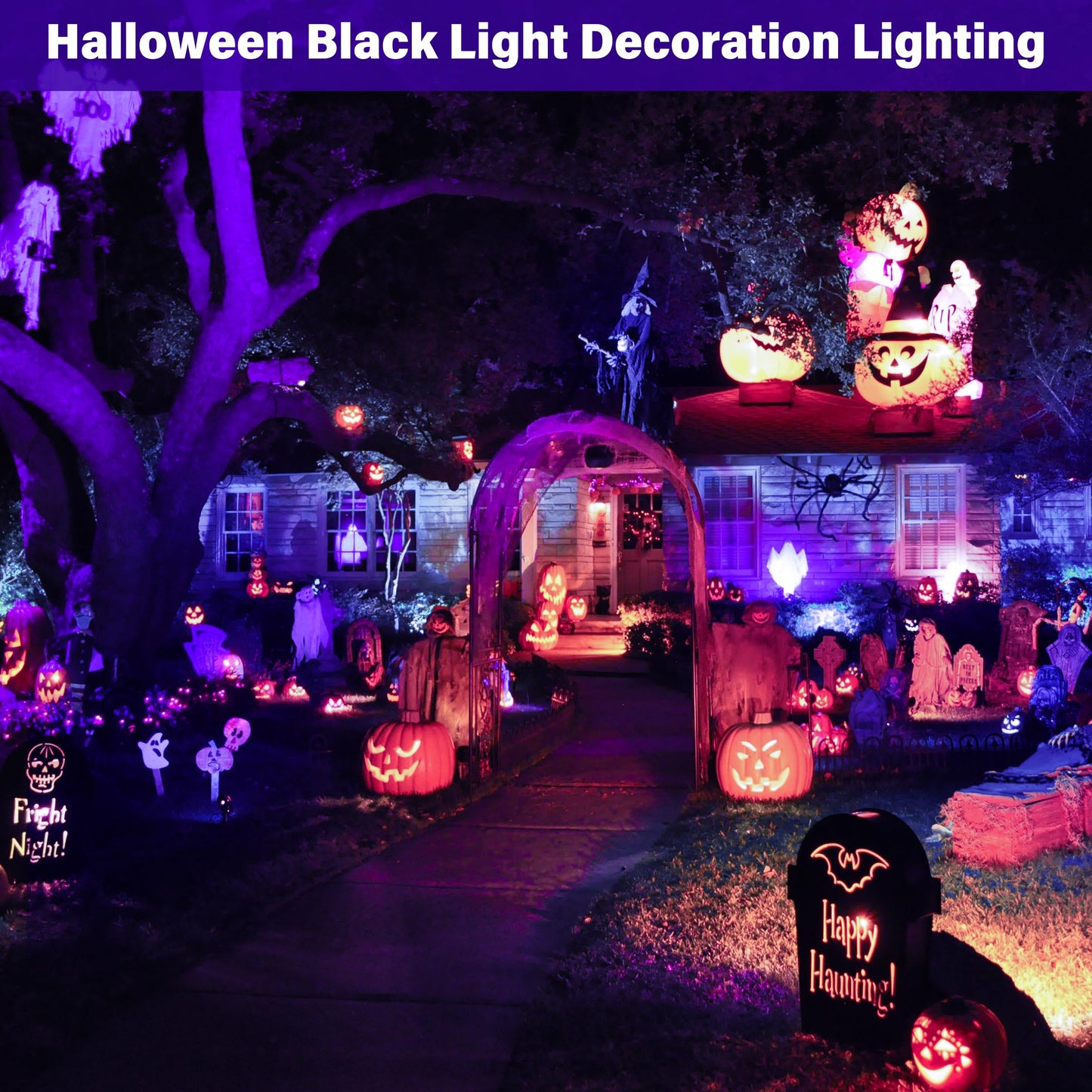 Qeeanmo 12W Black Lights for Glow Party,Purple LED Landscape Spot Lighting for Yard Garden Poster Bar Decoration,2Pack