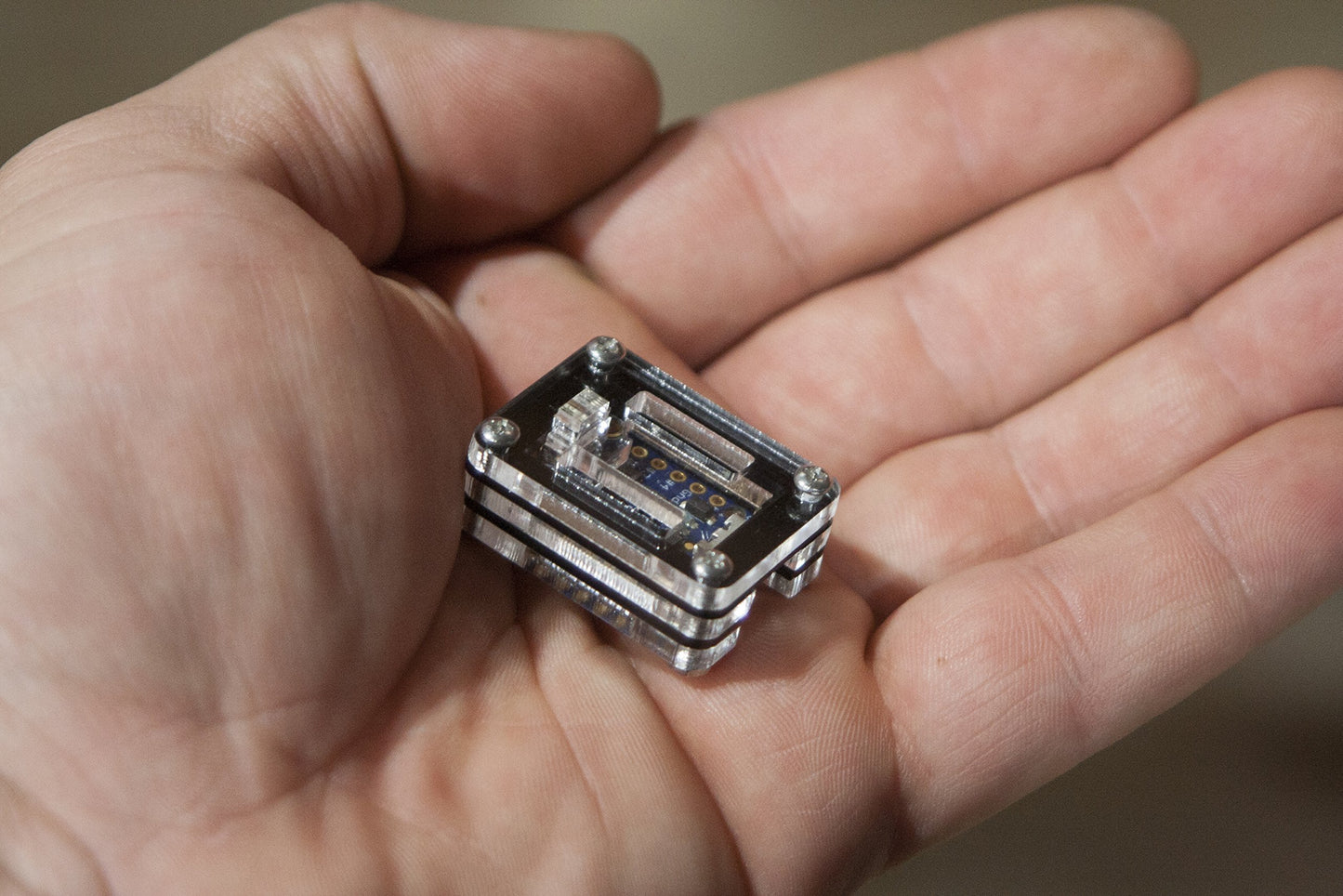 Zebra BIT for The New Adafruit Trinket