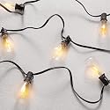 SAFAVIEH Lighting - Dorcia 10-Foot LED Outdoor String Lights - Weather-Resistant Patio Café Garden Hanging Lights with 10 Clear Bulbs (PLT4043A)