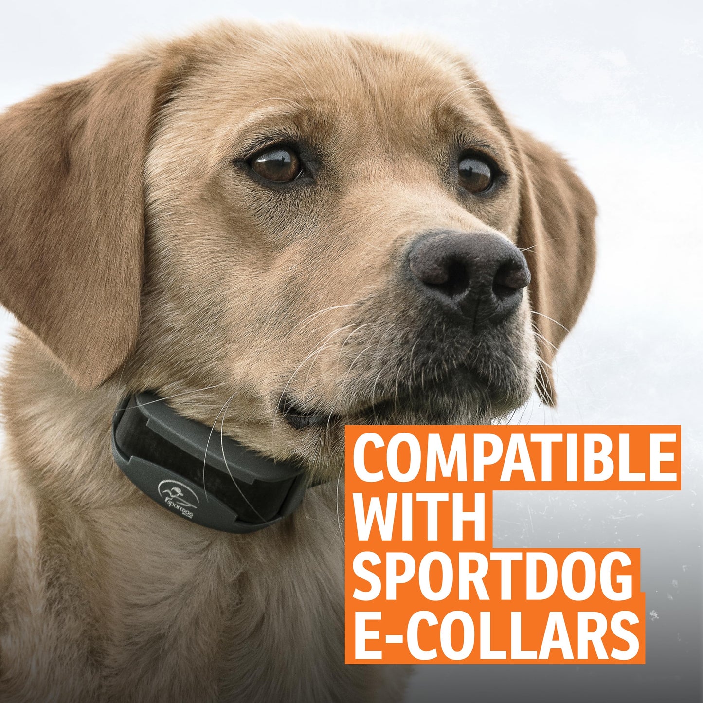 SportDOG Charging Adaptor for SD-425X Family & 825X Remote Trainer Systems - Flexible Positioning, Long Power Cord & Dual Charging Design