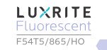 LUXRITE LR20765 (10-Pack) 54-Watt 4 FT T5 High Output Fluorescent Tube Light Bulb, Daylight 6500K, 4200 Lumens, G5 Mini Bi-Pin Base