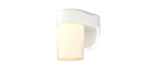 6106800 One-Light Dimmable LED Outdoor Wall Fixture with Dusk to Dawn Sensor, White Finish with Frosted Opal Glass