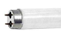 Fluorescent Light Tubes F32T8/850/25W/Ultra/ECO (Case of 25)