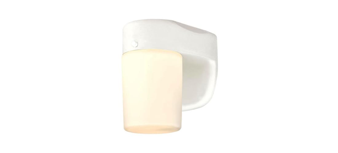 6106800 One-Light Dimmable LED Outdoor Wall Fixture with Dusk to Dawn Sensor, White Finish with Frosted Opal Glass