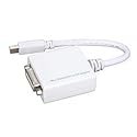 Goodway Mini DisplayPort to DVI Adapter (AY2100)