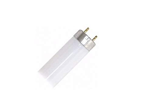 (Pack of 10) F15T8/CW 15-Watt Straight T8 Fluorescent Tube Light Bulb, Cool W...