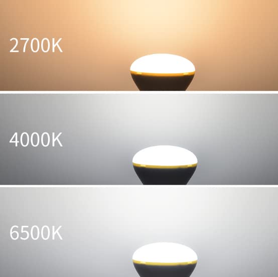 Beriteluce Dimmable LED Flood Light Bulb BR16 R16 5W 50W Equivalent, 500 Lumen, 3000K Warm White, Candelabra Base E12, LED Mushroom Light Bulb, 4-Pack