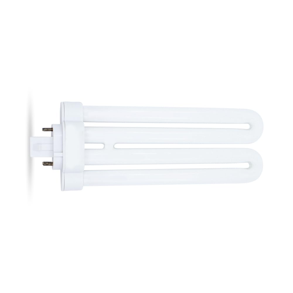 Regent Compact Fluorescent Bulb (FML26)