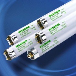 Sylvania 32W FO32/865/XP/ECO Extended Performance Fluorescent Light Bulb - Case Qty 30