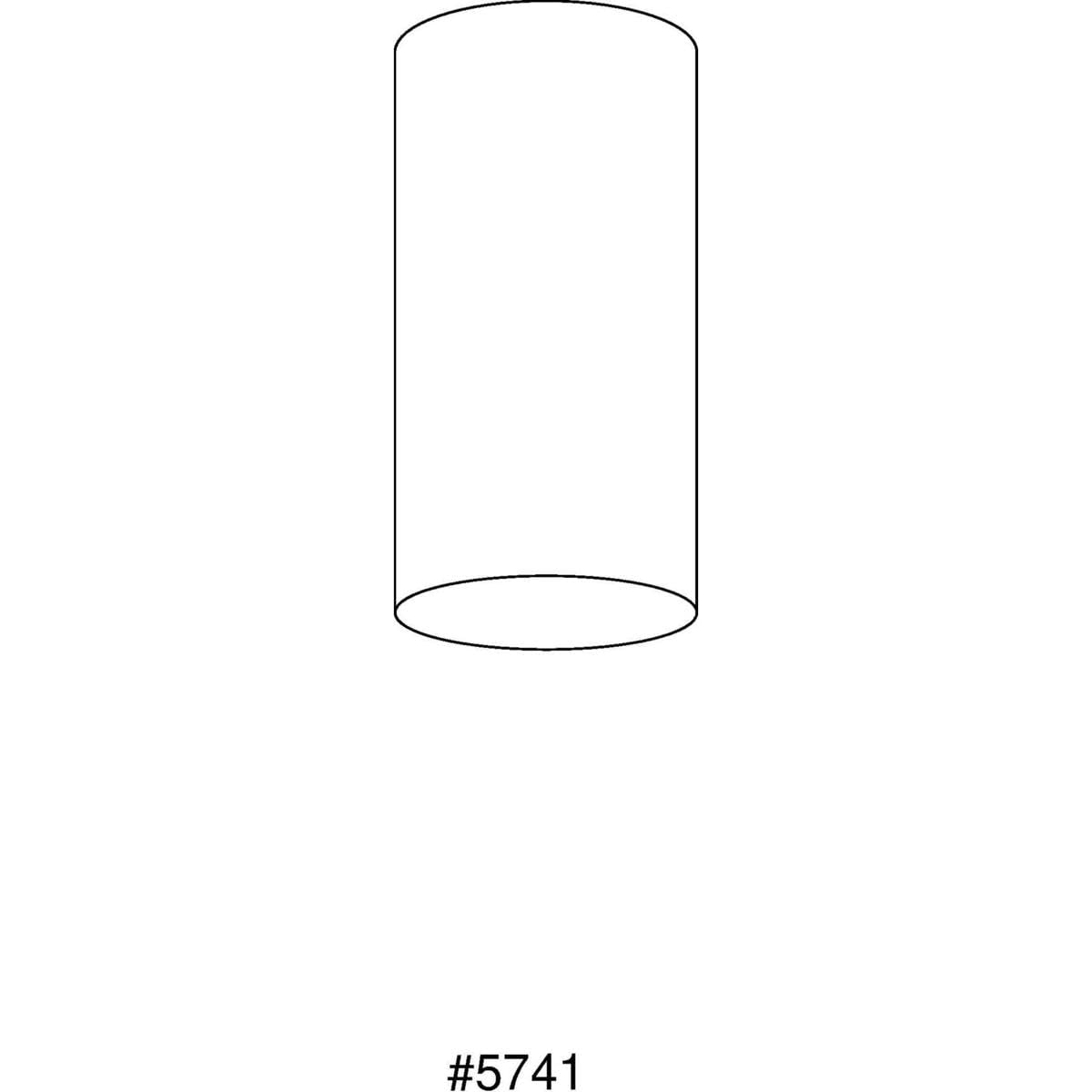 Progress Lighting 6-Inch Cylinder Outdoor Ceiling Light, 1-Light Modern Flush Mount Ceiling Light Fixture, Interior and Exterior Lighting for Home or