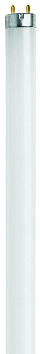 Feit Electric F15T8/CW/RP 15 Watt Cool White T8 Fluorescent Tube Light Bulb